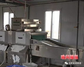 震惊 肥西这些 洗碗厂 环境触目惊心,这样的消毒餐具你还敢用吗