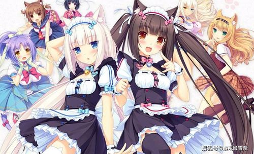 两款藏品级的galgame,没玩过还敢说自己是二次元