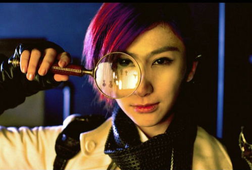 洪14 携 探魔导师 做戏 到互联网